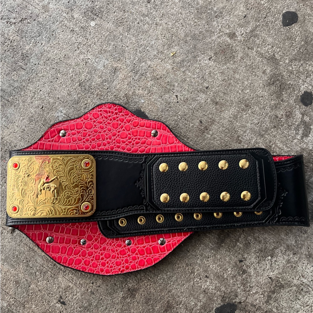 WWE World Heavyweight Championship Retro Official Authentic Title Belt - Picture 5 of 10
